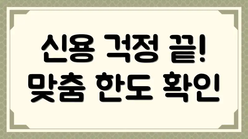 신용 걱정 끝! 맞춤 한도 확인