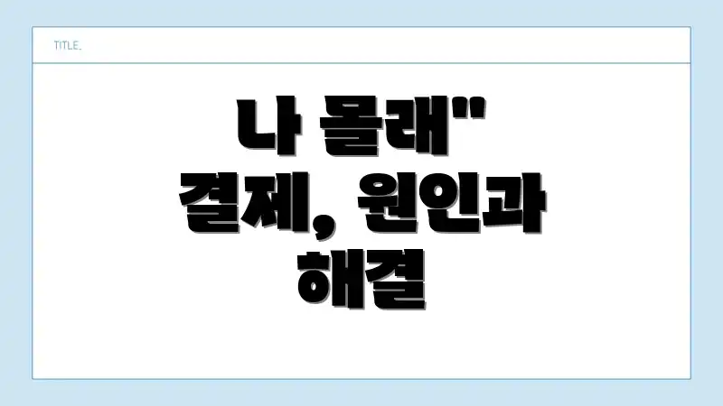 나 몰래" 결제, 원인과 해결