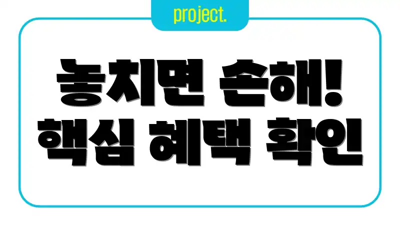 놓치면 손해! 핵심 혜택 확인