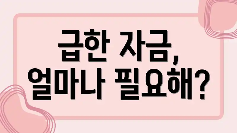 급한 자금, 얼마나 필요해?