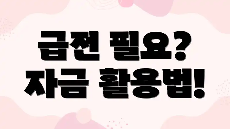 급전 필요? 자금 활용법!