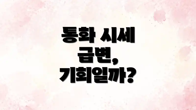통화 시세 급변, 기회일까?