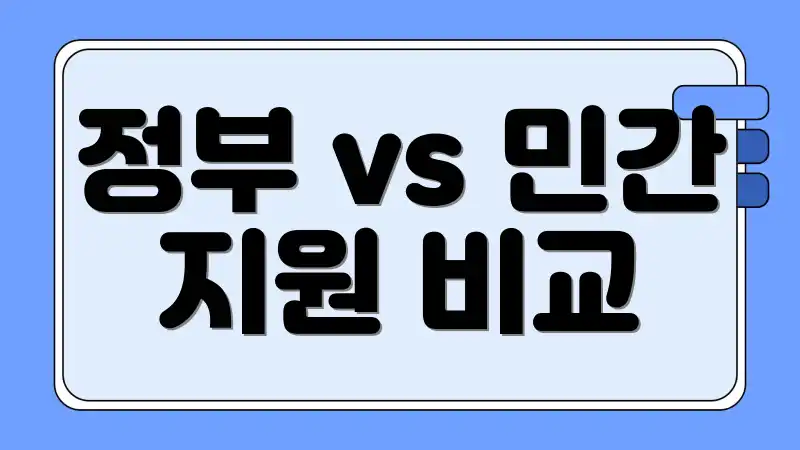 정부 vs 민간 지원 비교