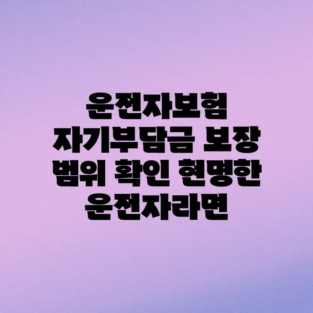 운전자보험 자기부담금, 보장 범위 확인! 현명한 운전자라면?