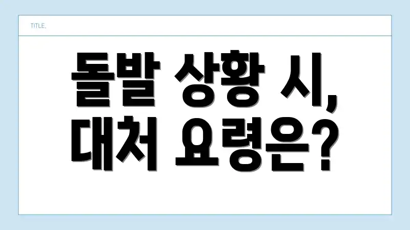 돌발 상황 시, 대처 요령은?