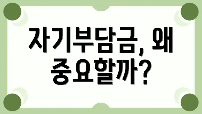 자기부담금, 왜 중요할까?