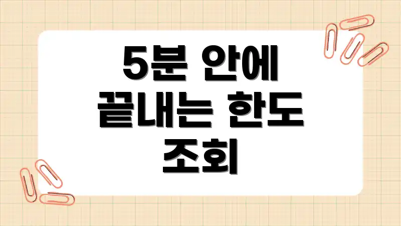 5분 안에 끝내는 한도 조회