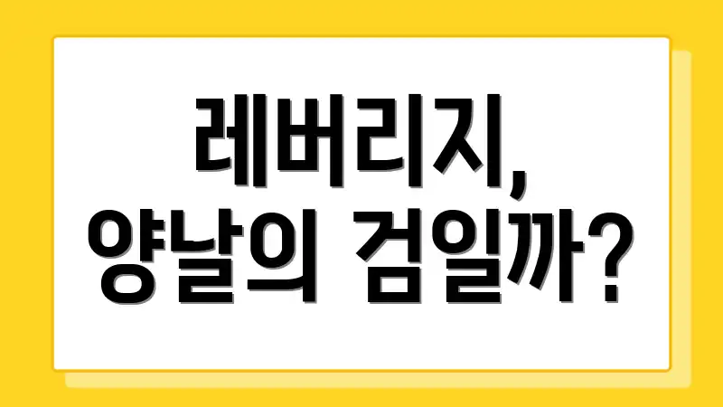 레버리지, 양날의 검일까?