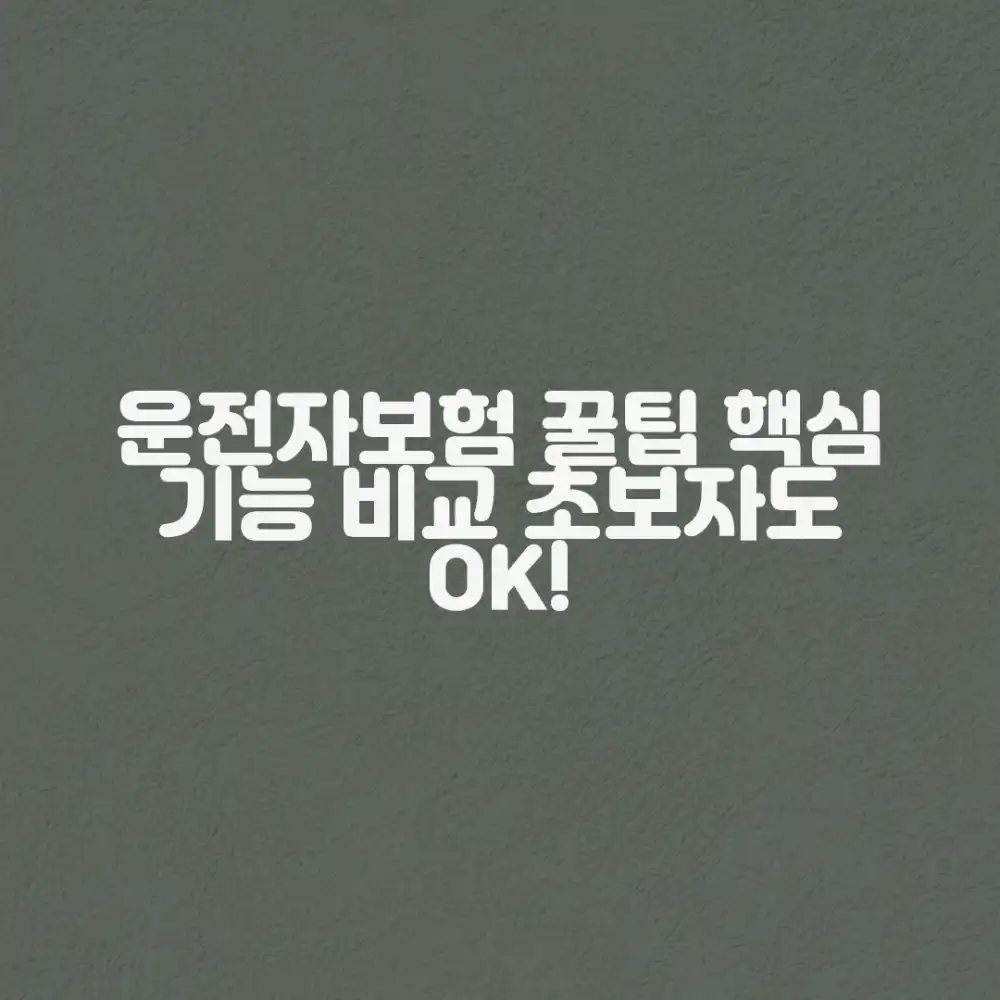 초보자도! 운전자보험 핵심 기능만 비교 꿀팁