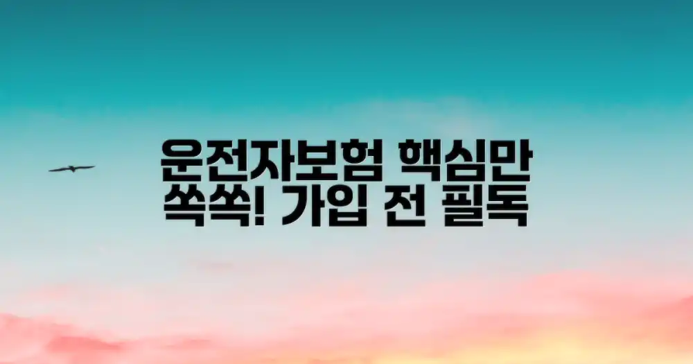 운전자보험, 이것이 핵심